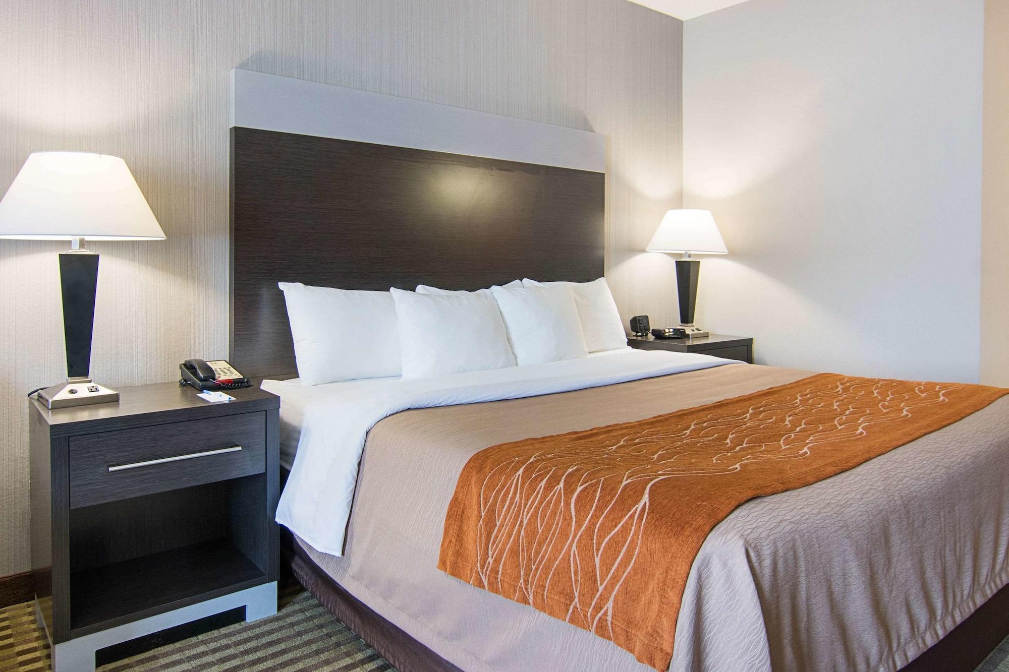 Comfort Inn Camden Luaran gambar