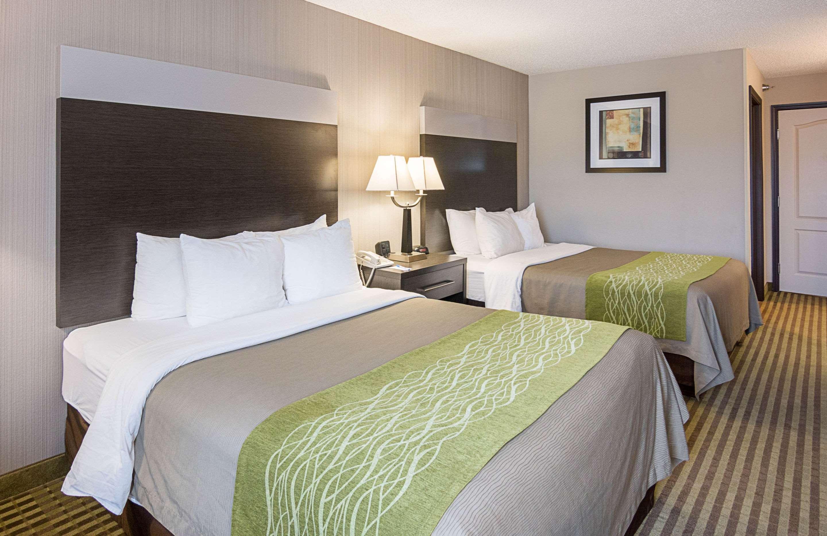 Comfort Inn Camden Luaran gambar