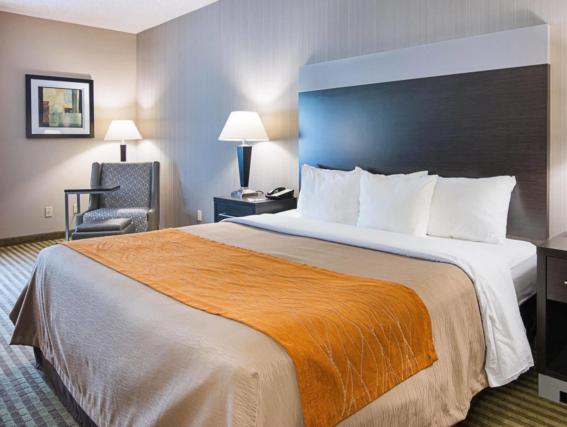 Comfort Inn Camden Luaran gambar